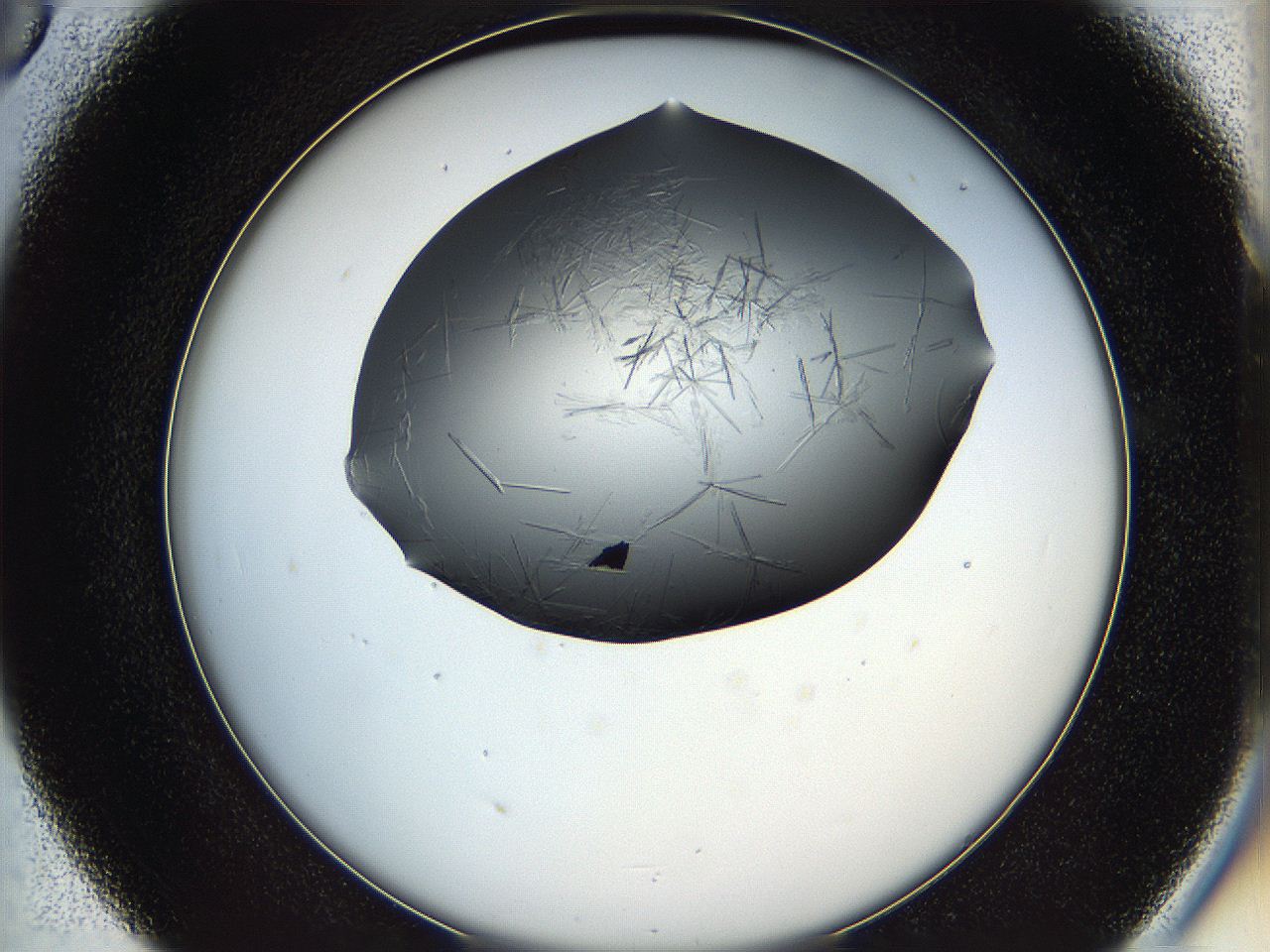 05ln_D5_ImagerDefaults_6.jpg