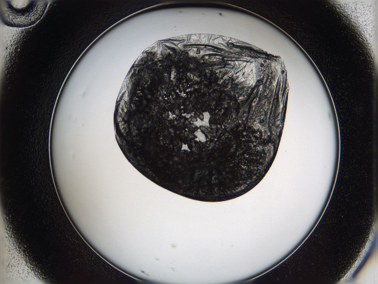 05ln_D10_ImagerDefaults_7.jpg