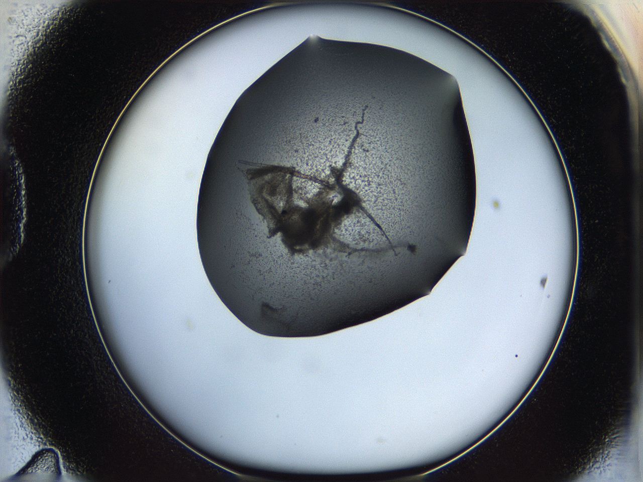 05ln_D11_ImagerDefaults_6.jpg