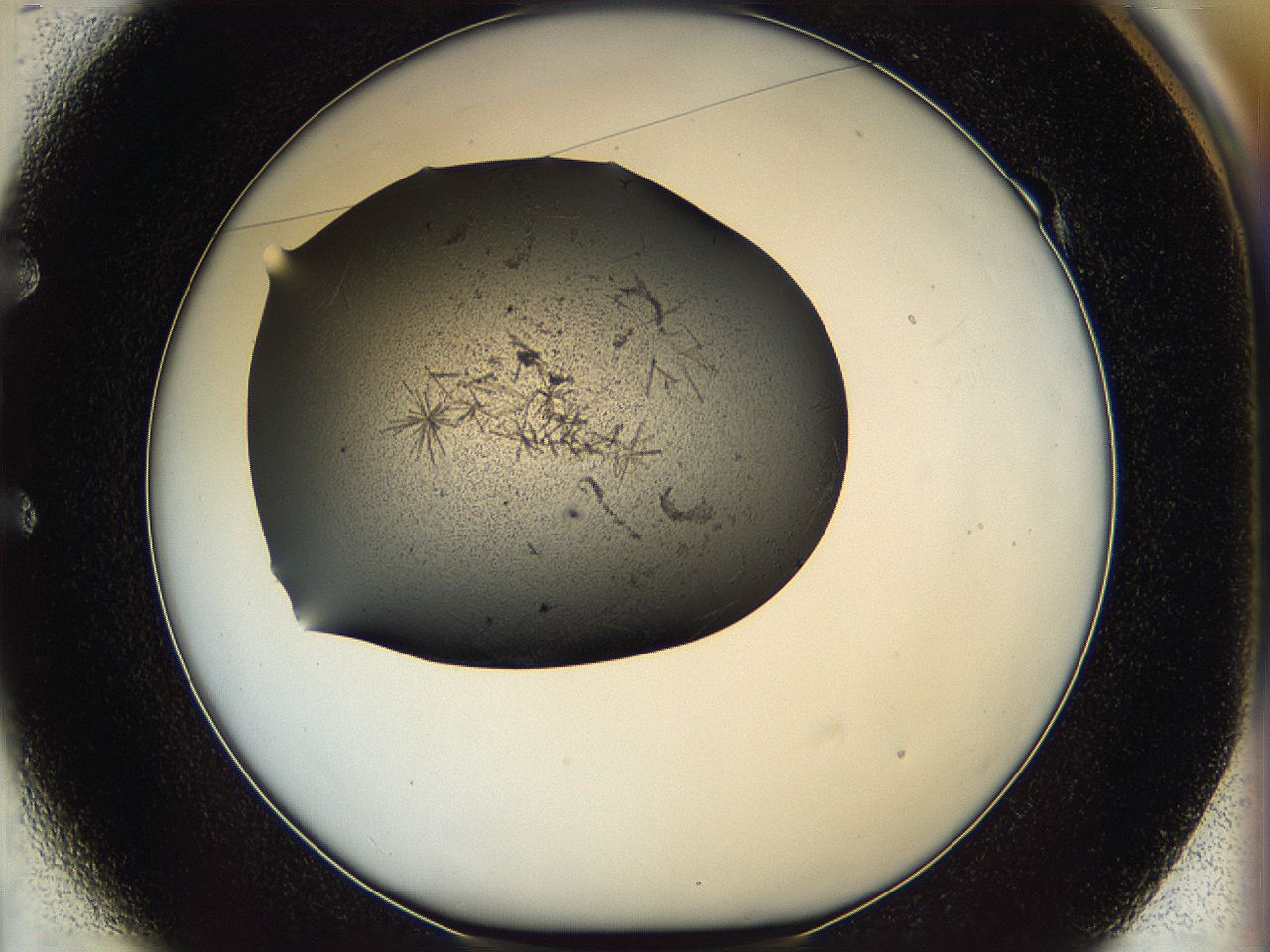 05ln_E1_ImagerDefaults_6.jpg