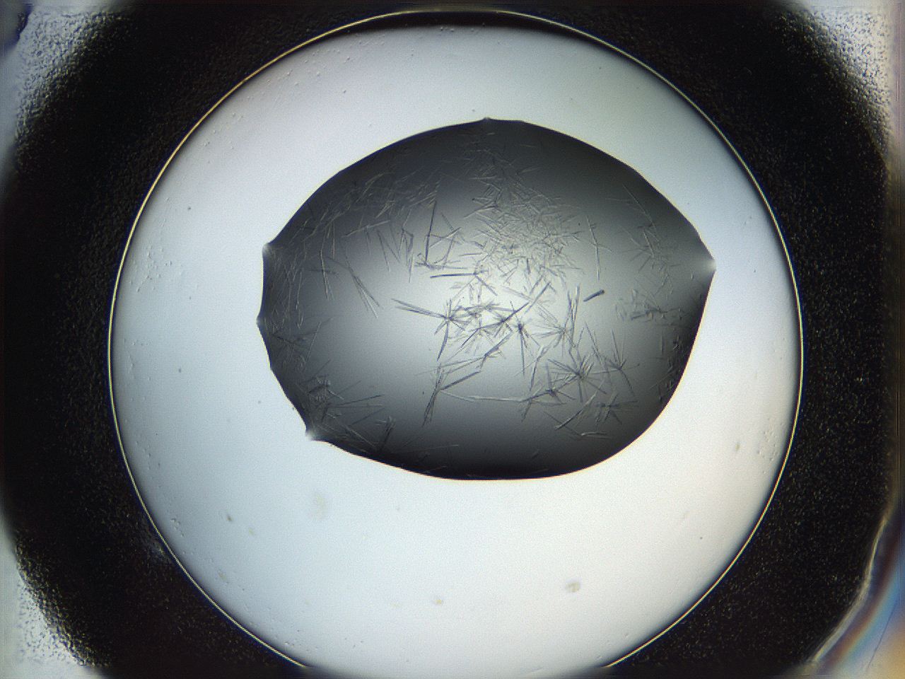 05ln_E5_ImagerDefaults_6.jpg