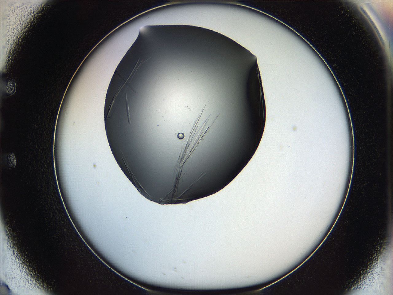 05ln_E9_ImagerDefaults_6.jpg