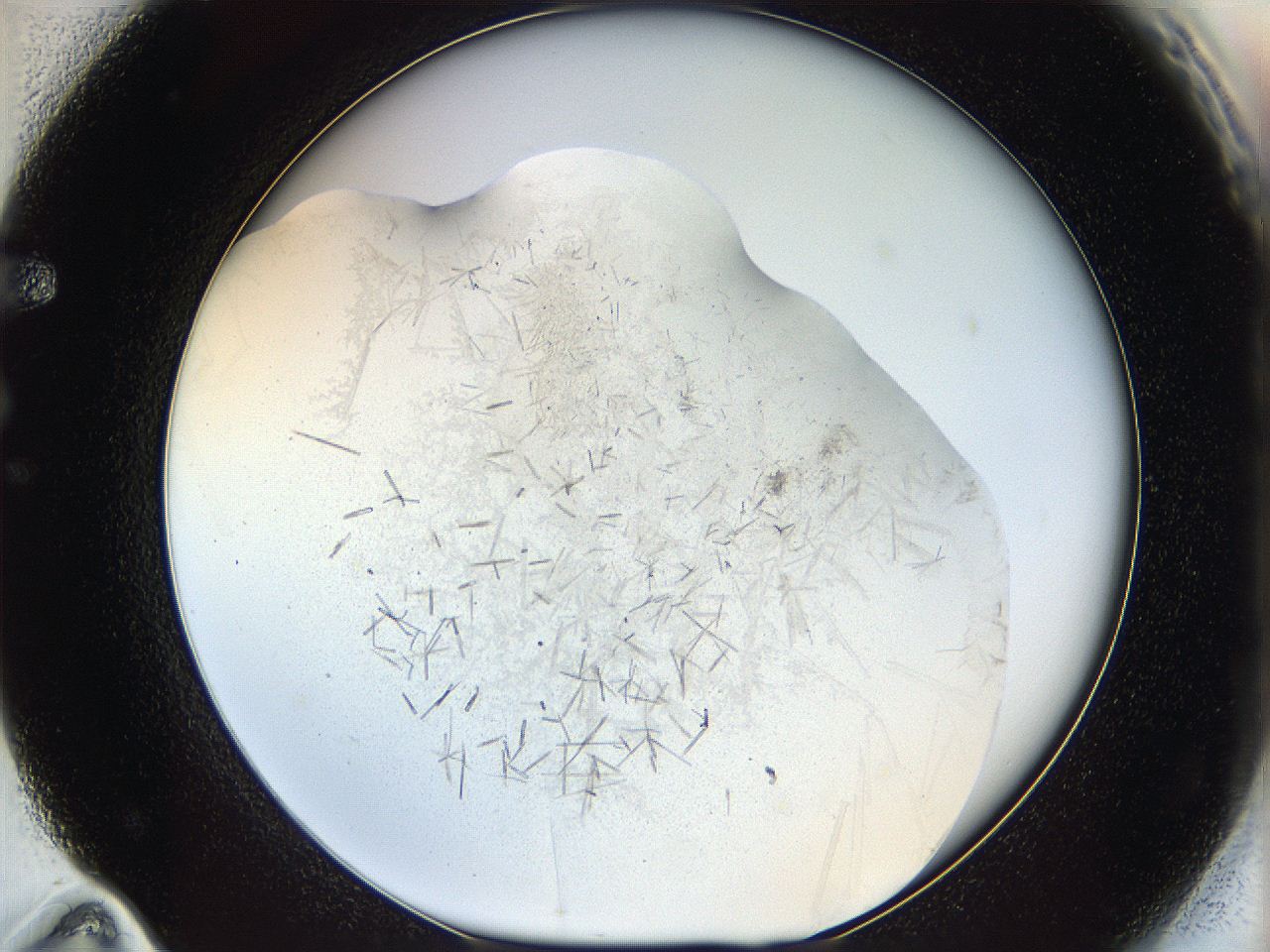 05ln_F11_ImagerDefaults_6.jpg