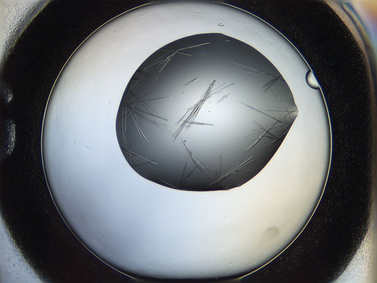 05ln_G1_ImagerDefaults_7.jpg