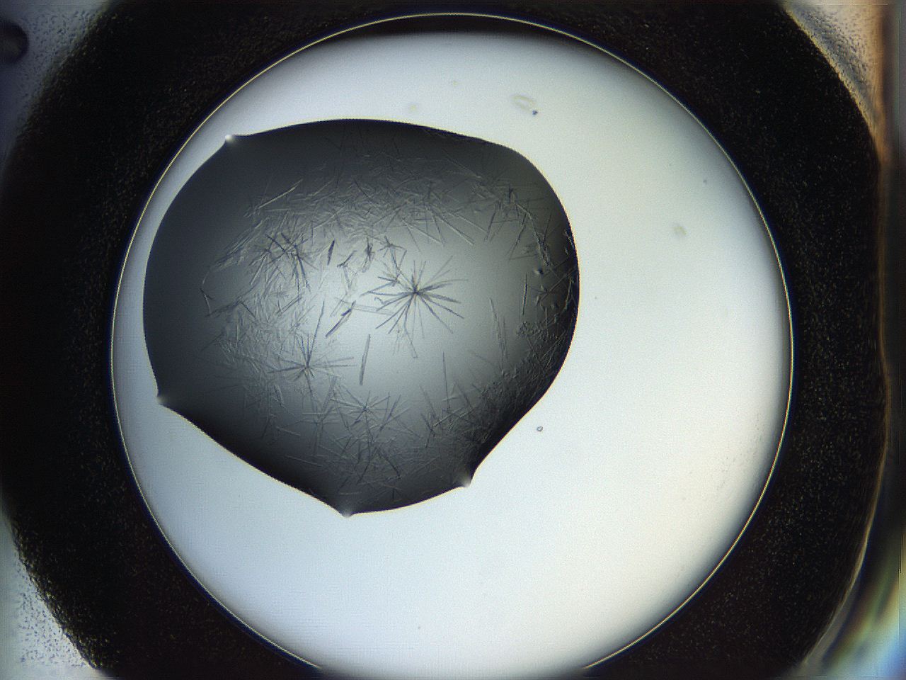 05ln_G2_ImagerDefaults_6.jpg