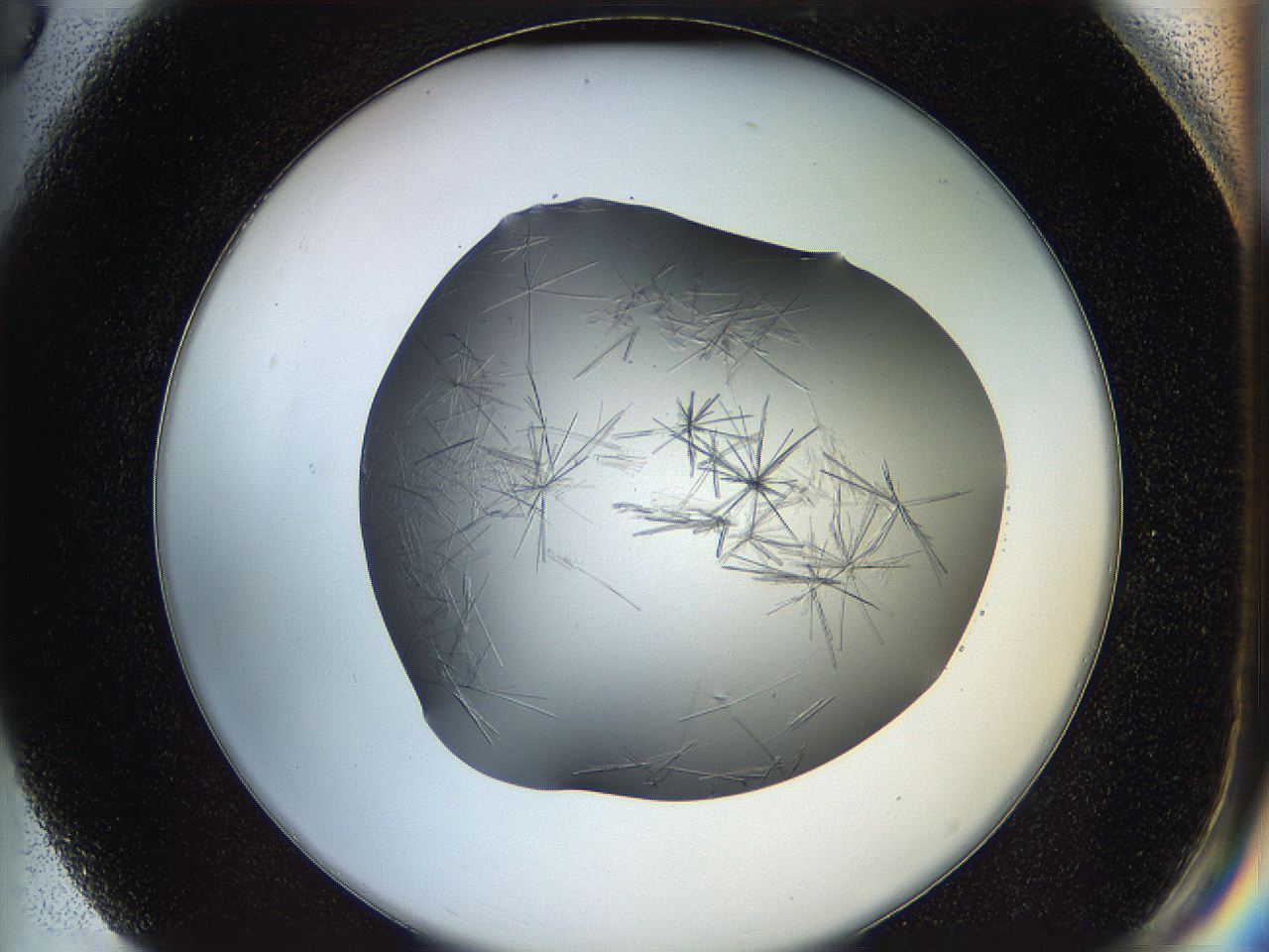 05ln_G3_ImagerDefaults_6.jpg