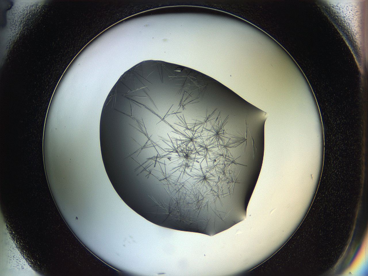 05ln_G4_ImagerDefaults_6.jpg
