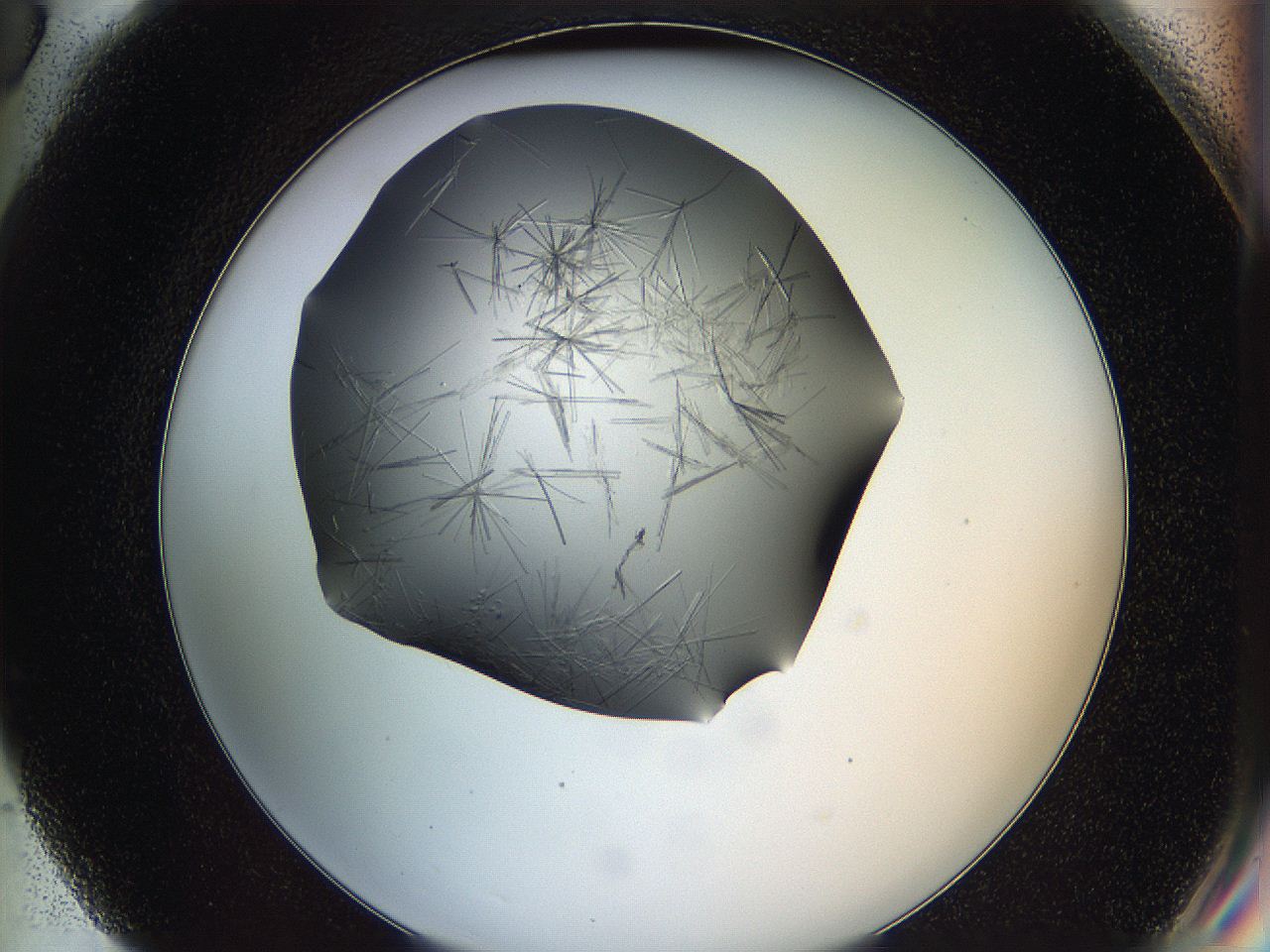 05ln_G6_ImagerDefaults_6.jpg
