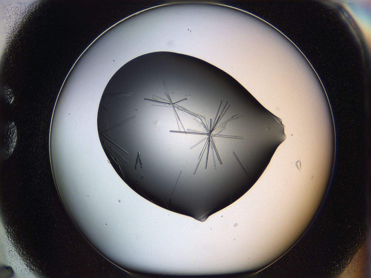 05ln_G7_ImagerDefaults_7.jpg