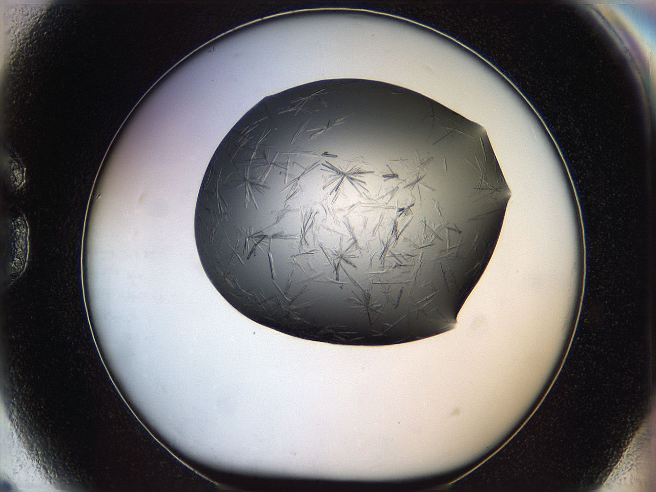 05ln_G9_ImagerDefaults_6.jpg