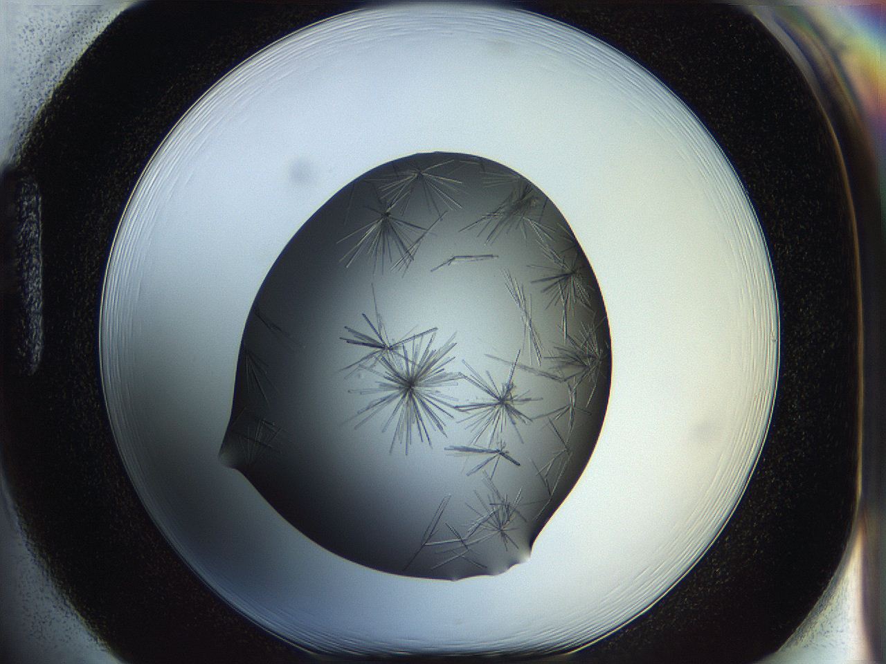 05ln_H1_ImagerDefaults_6.jpg