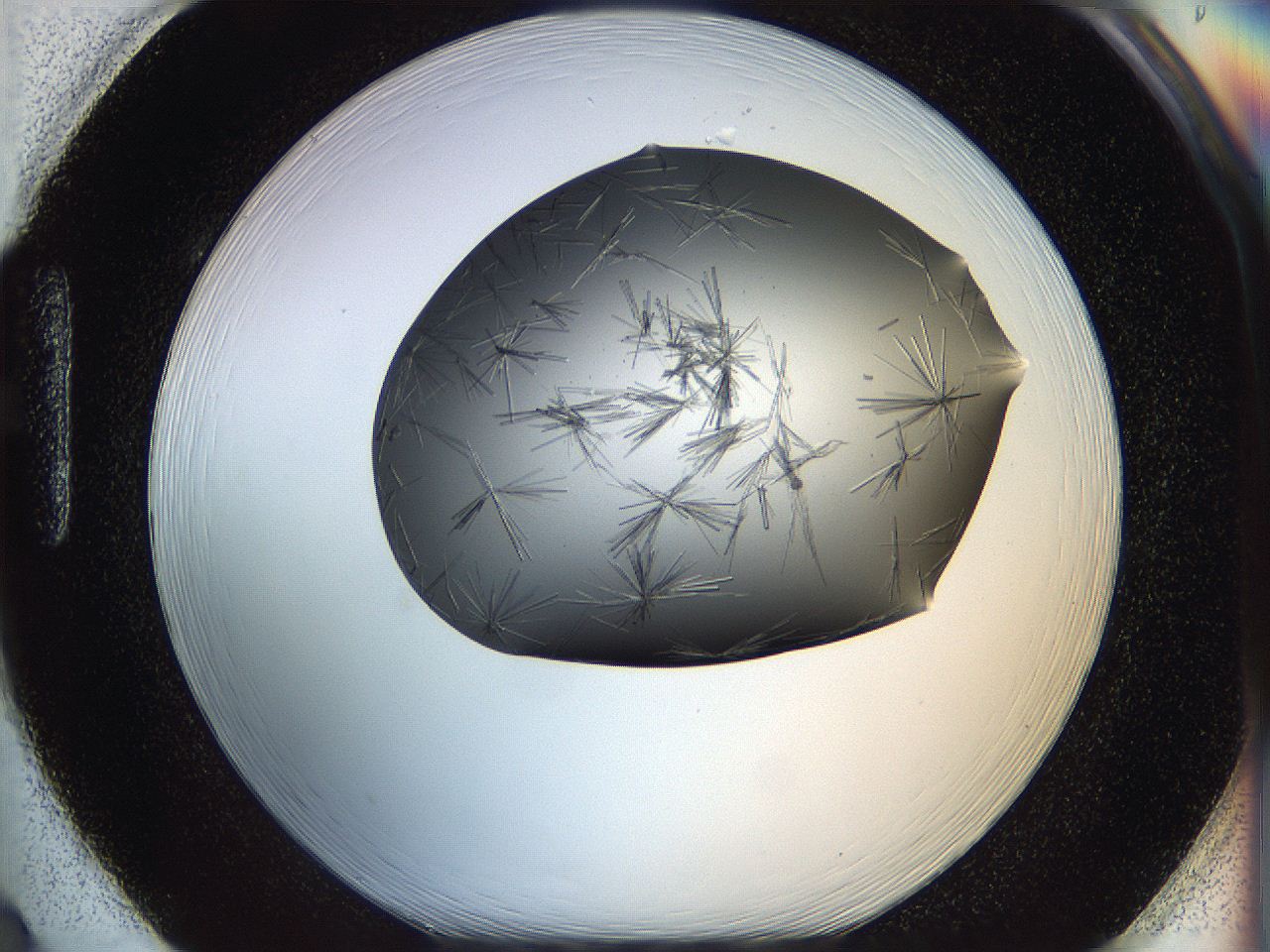 05ln_H2_ImagerDefaults_6.jpg
