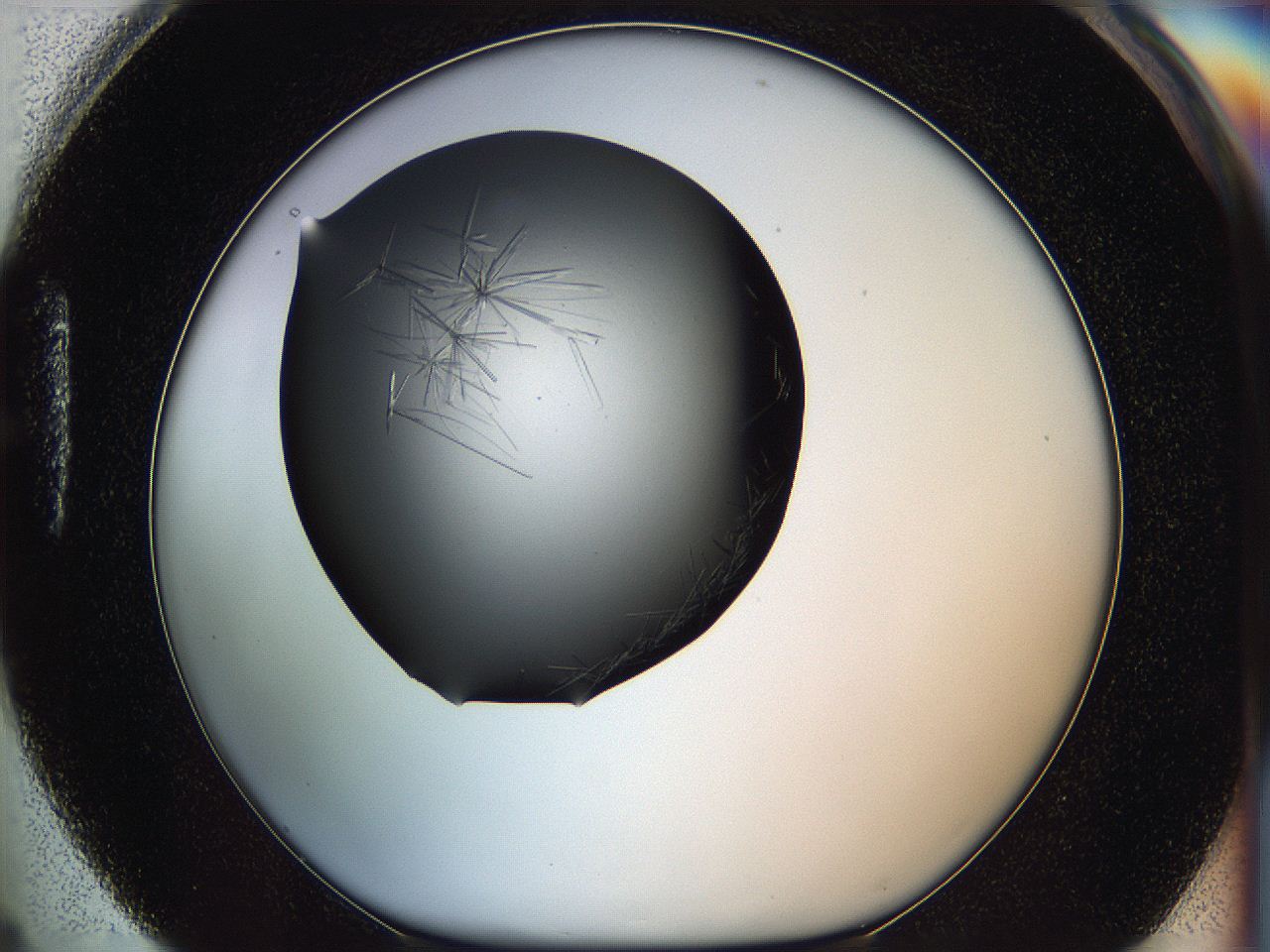 05ln_H4_ImagerDefaults_6.jpg