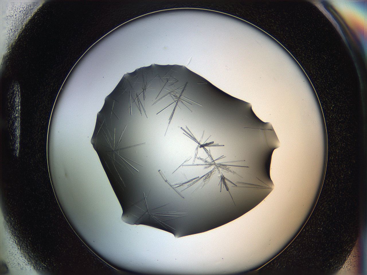 05ln_H5_ImagerDefaults_6.jpg
