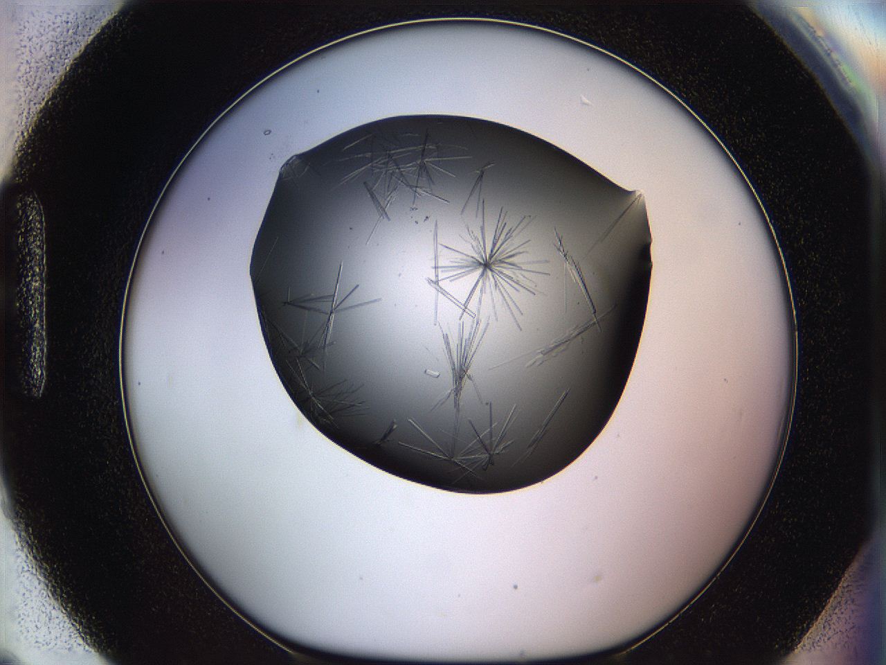 05ln_H9_ImagerDefaults_6.jpg