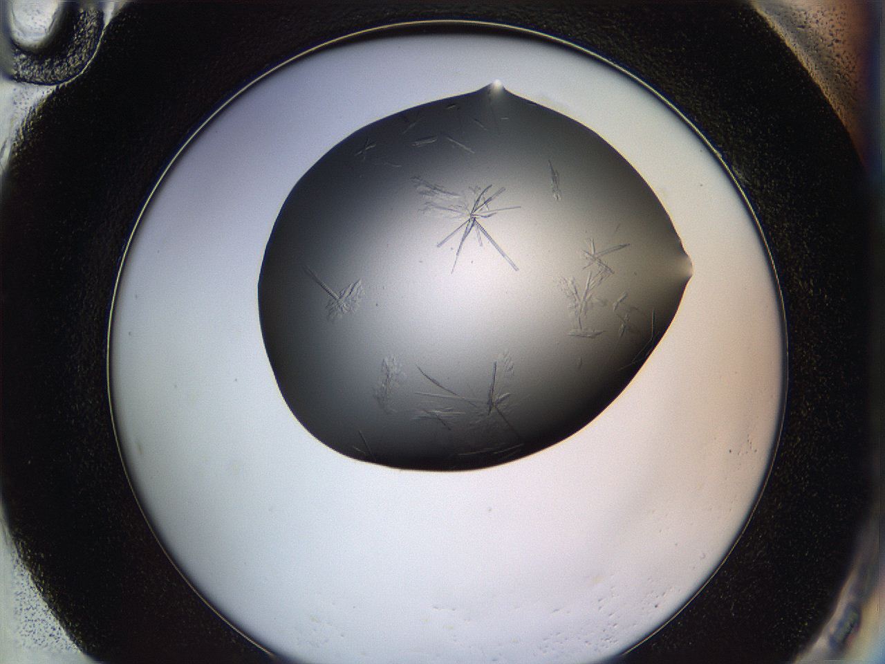 05ln_H10_ImagerDefaults_6.jpg