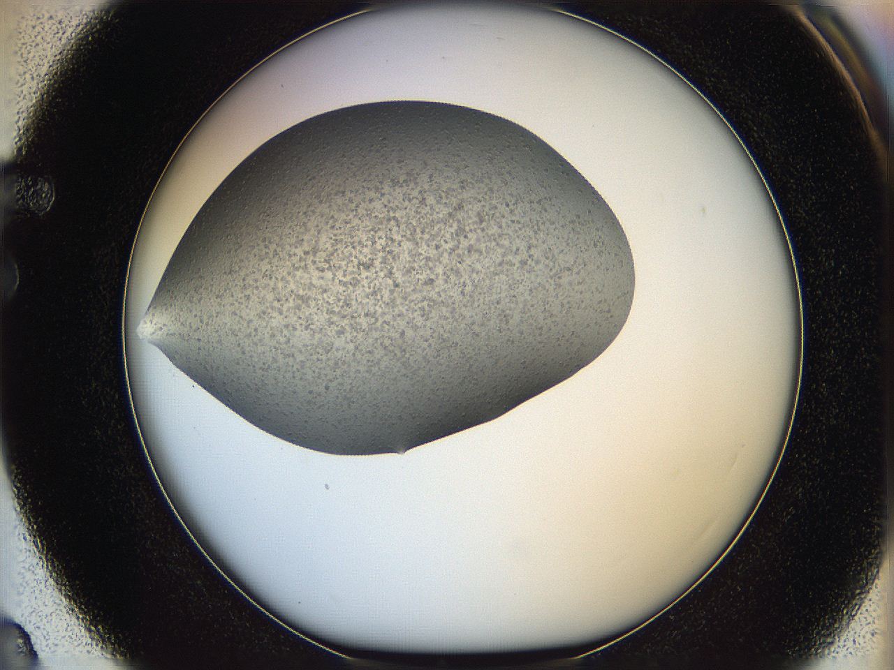 05ly_F3_ImagerDefaults_5.jpg