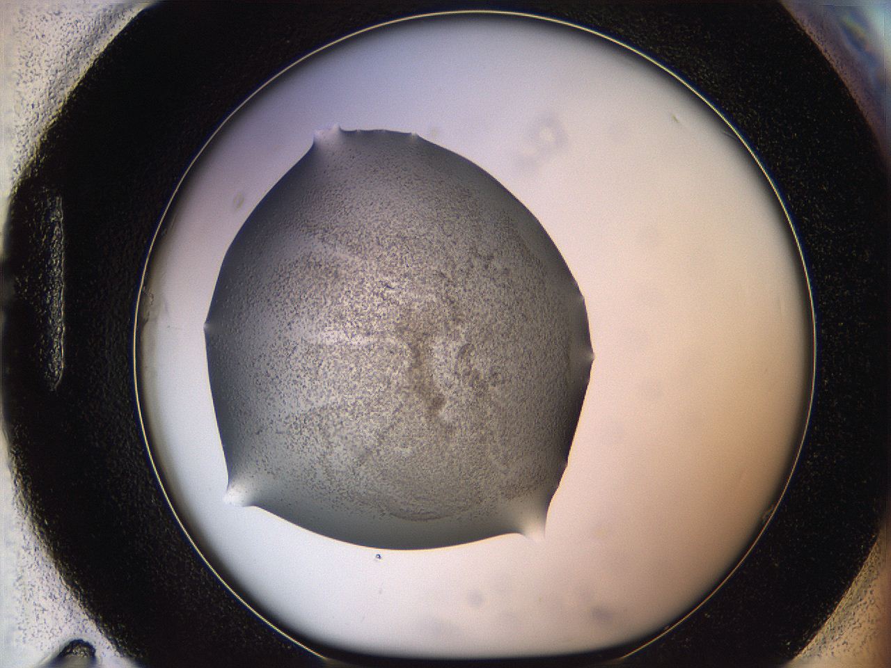 05ly_H11_ImagerDefaults_5.jpg