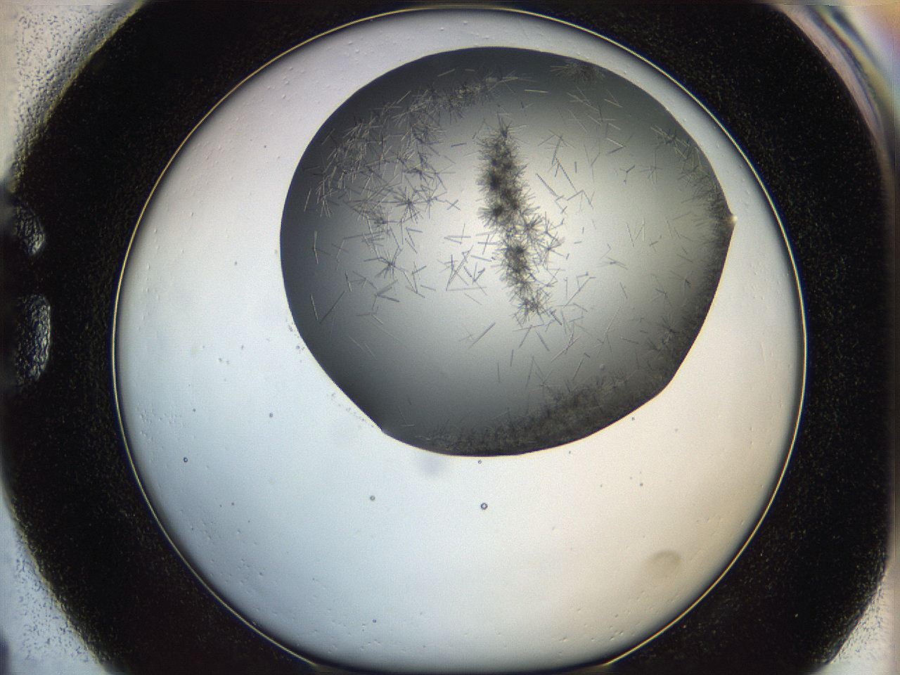 05m0_G1_ImagerDefaults_7.jpg