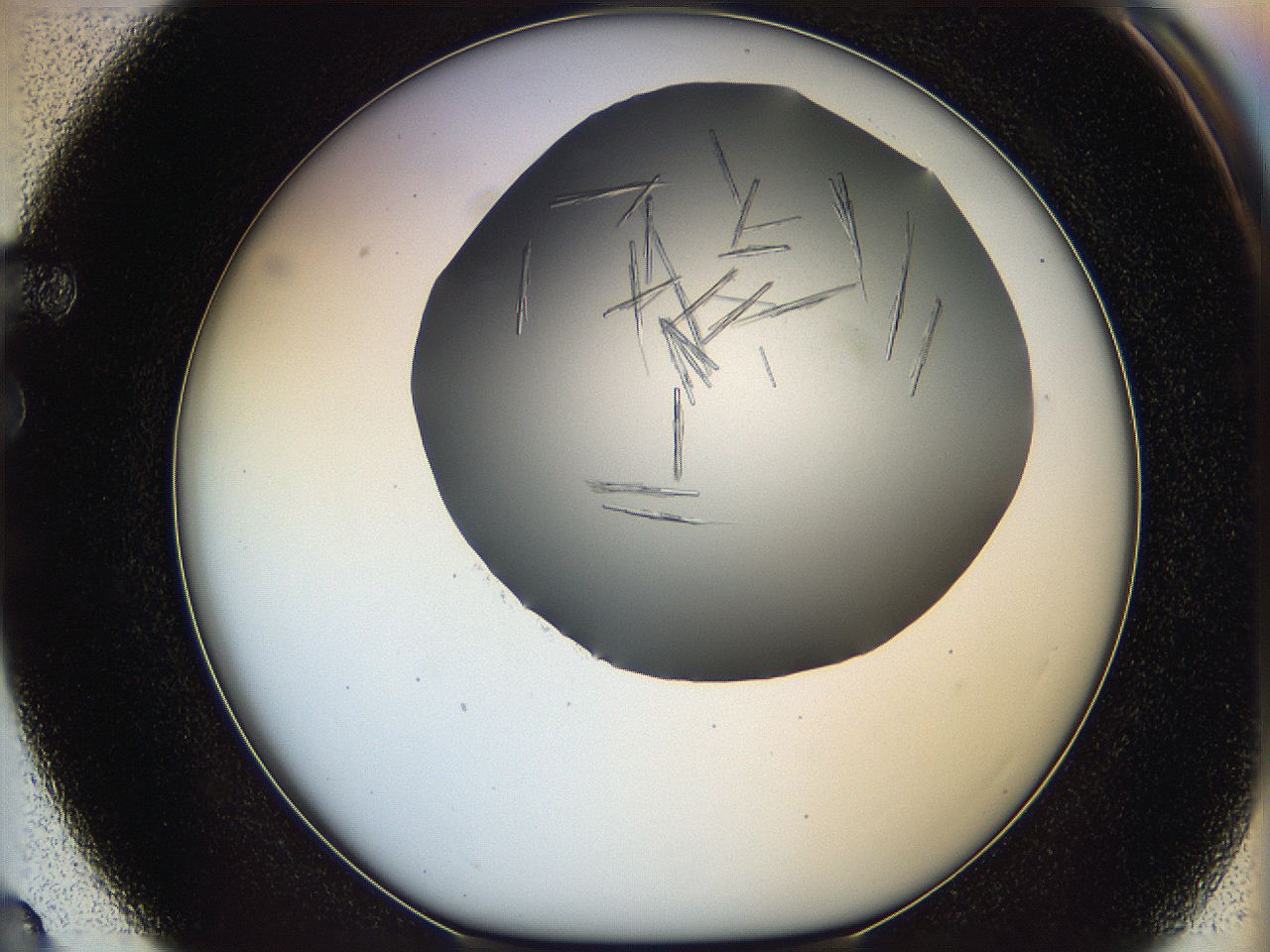05m0_F3_ImagerDefaults_6.jpg