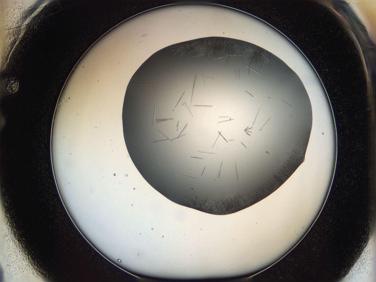 05m0_F1_ImagerDefaults_6.jpg
