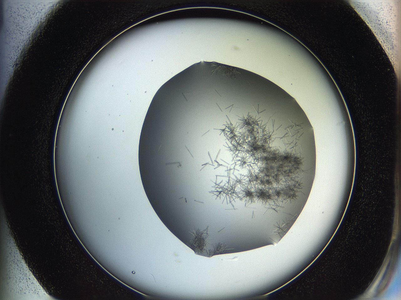 05m0_G1_ImagerDefaults_6.jpg