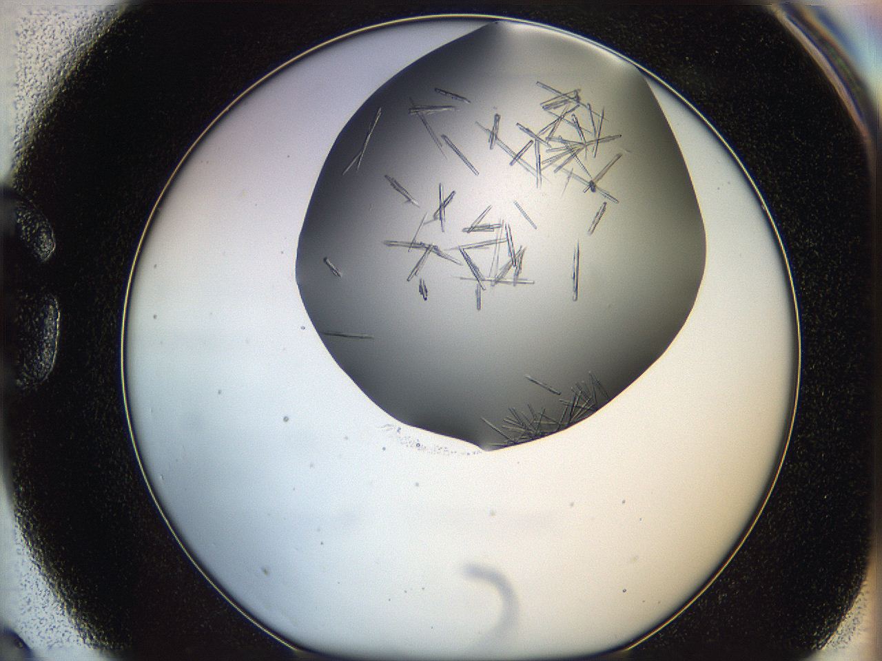 05m0_G3_ImagerDefaults_7.jpg