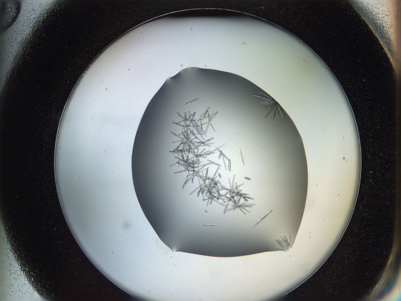 05m0_G3_ImagerDefaults_6.jpg