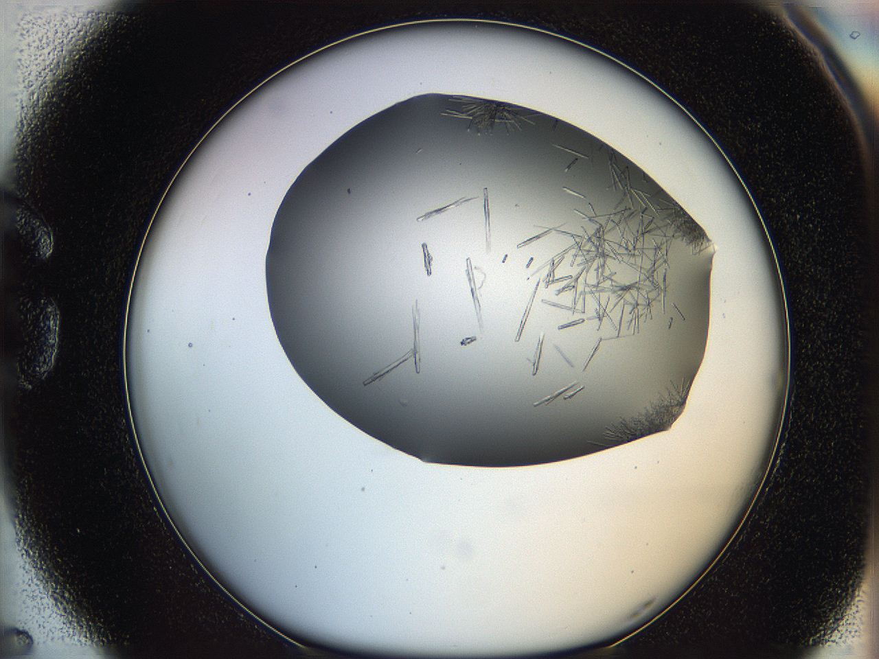 05m0_G5_ImagerDefaults_7.jpg