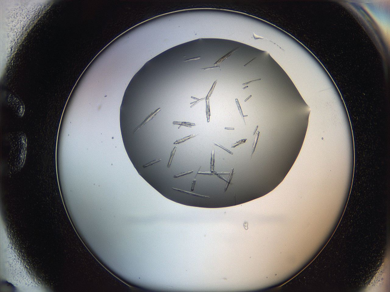 05m0_G6_ImagerDefaults_6.jpg