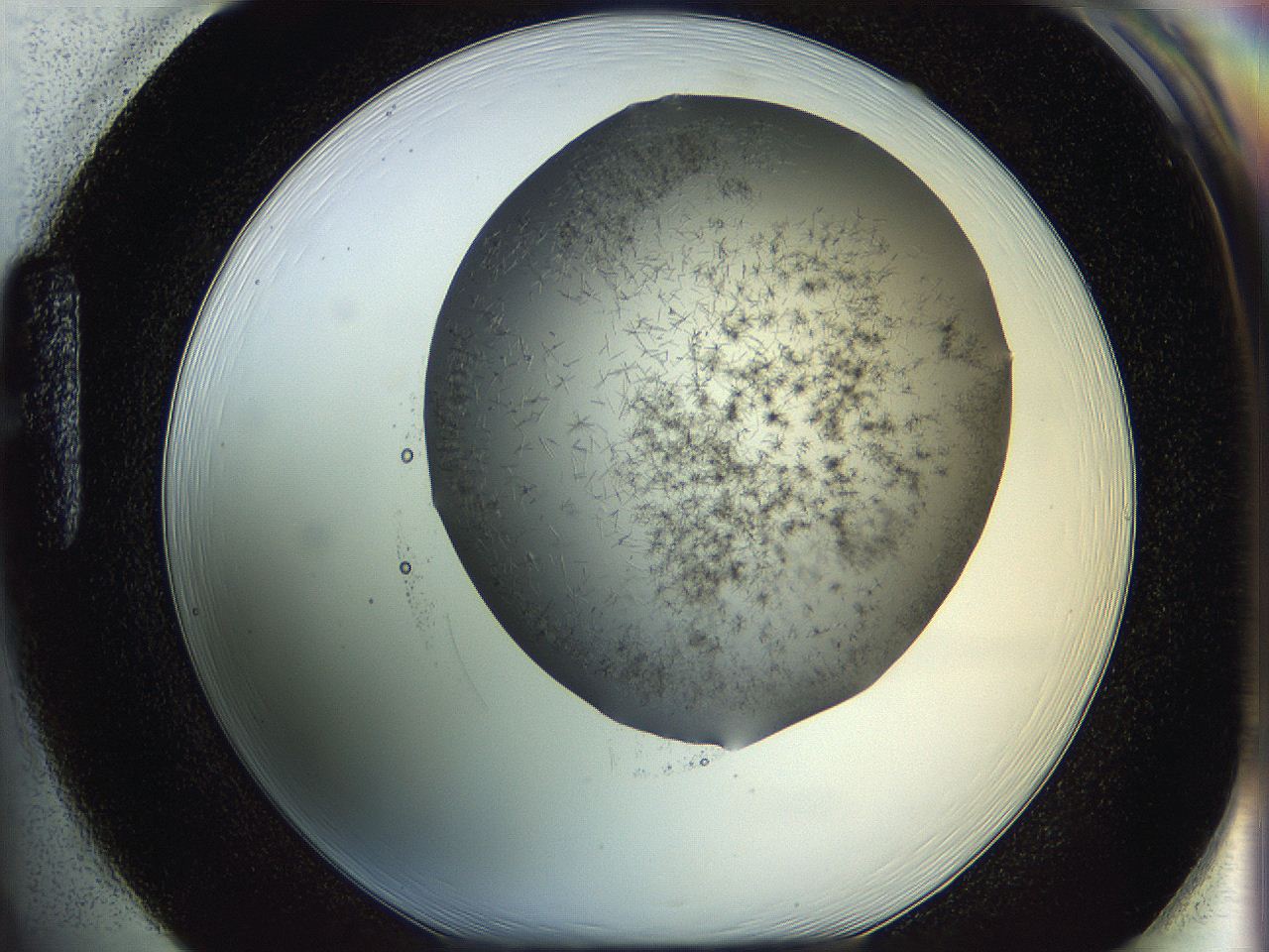 05m0_H1_ImagerDefaults_6.jpg