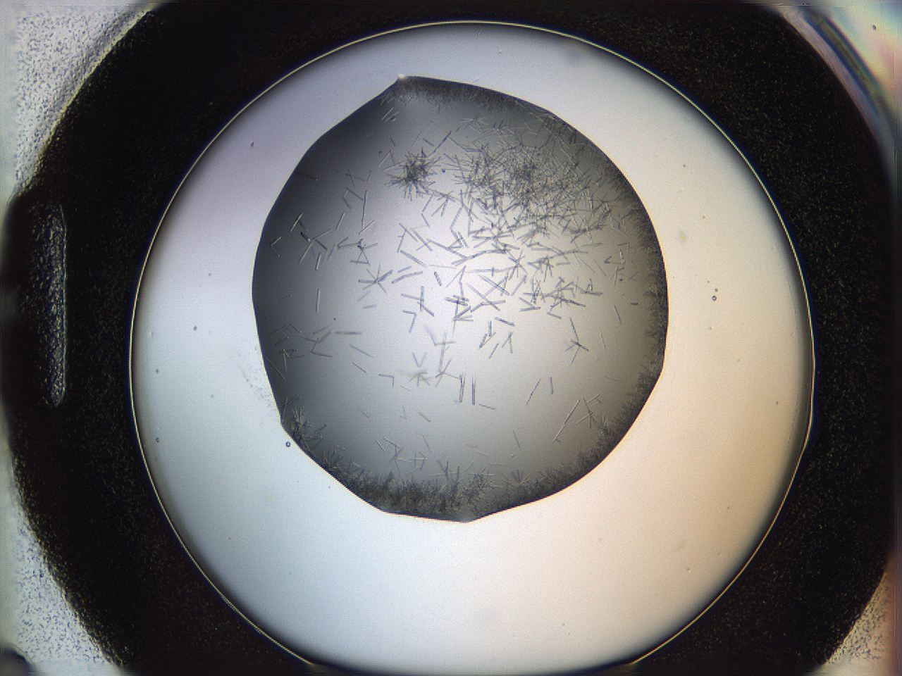 05m0_H3_ImagerDefaults_7.jpg