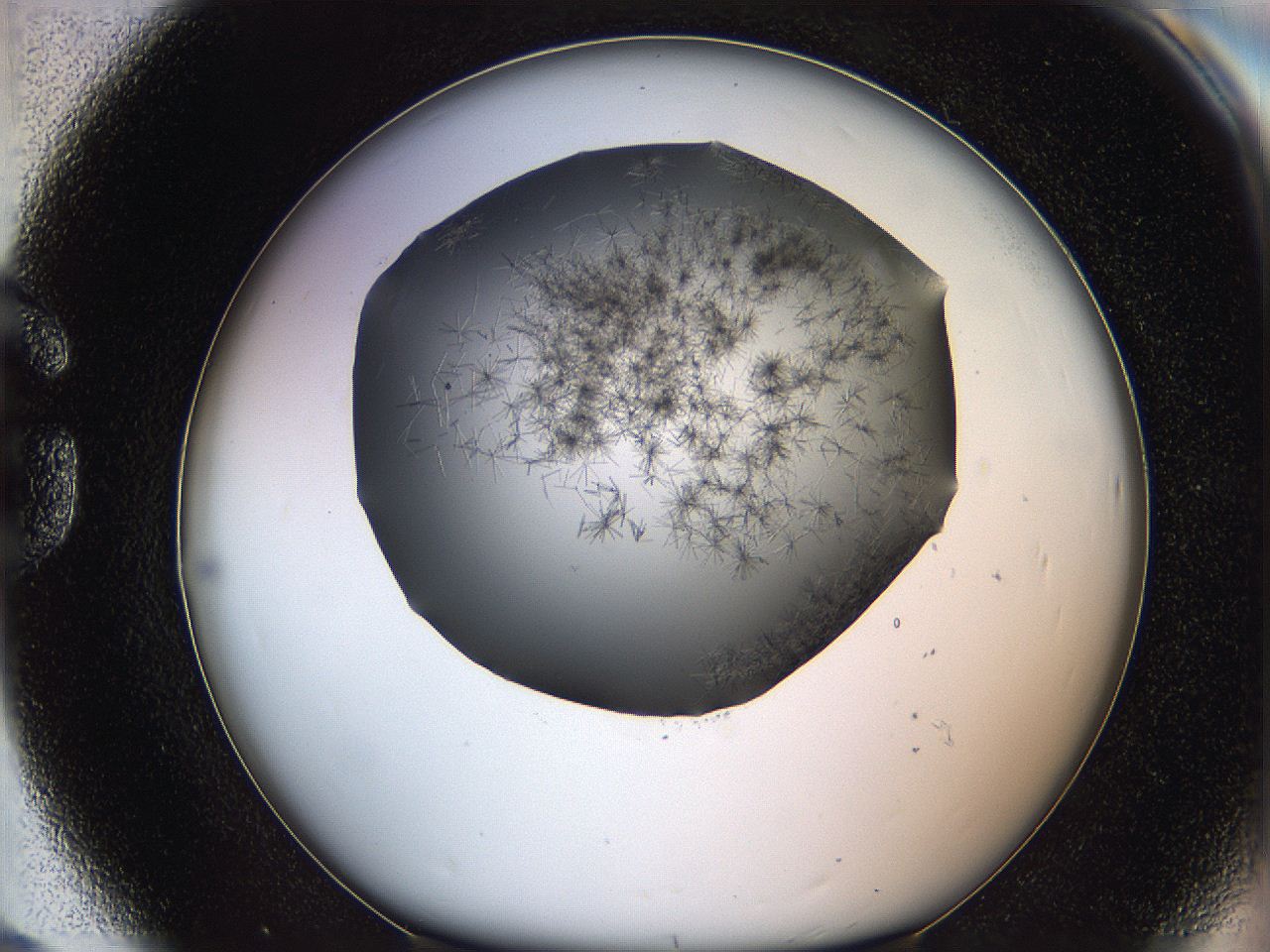 05m1_G8_ImagerDefaults_6.jpg