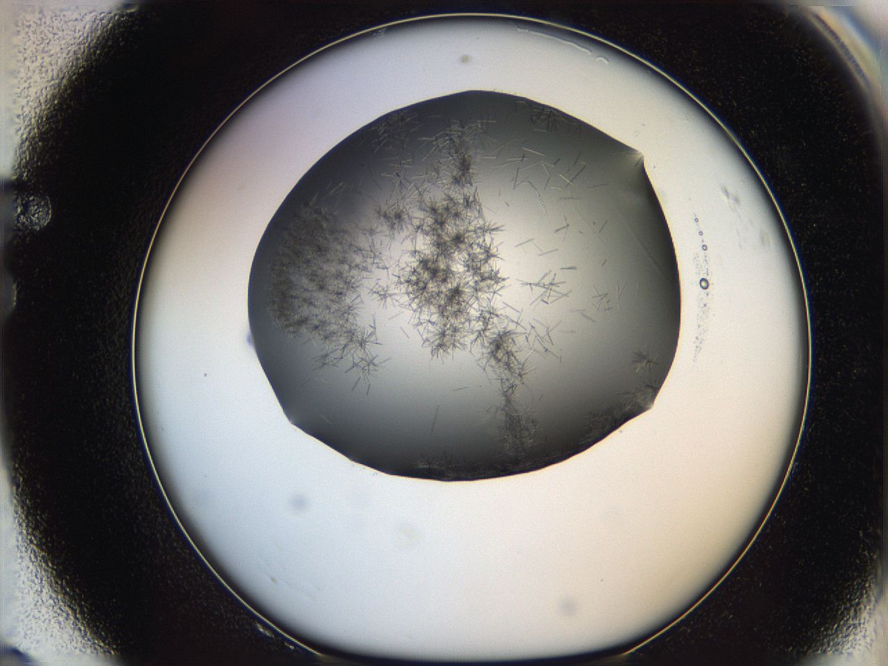 05m1_F8_ImagerDefaults_7.jpg
