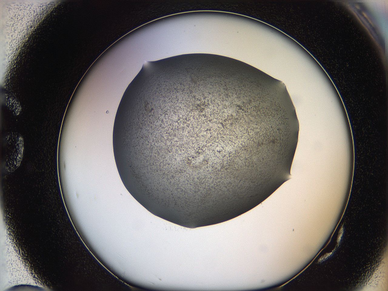 05m1_G10_ImagerDefaults_6.jpg