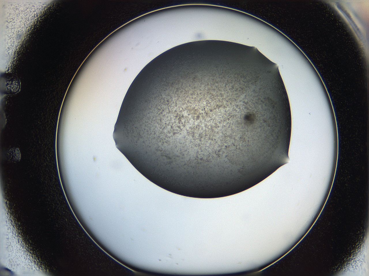 05m1_E9_ImagerDefaults_6.jpg