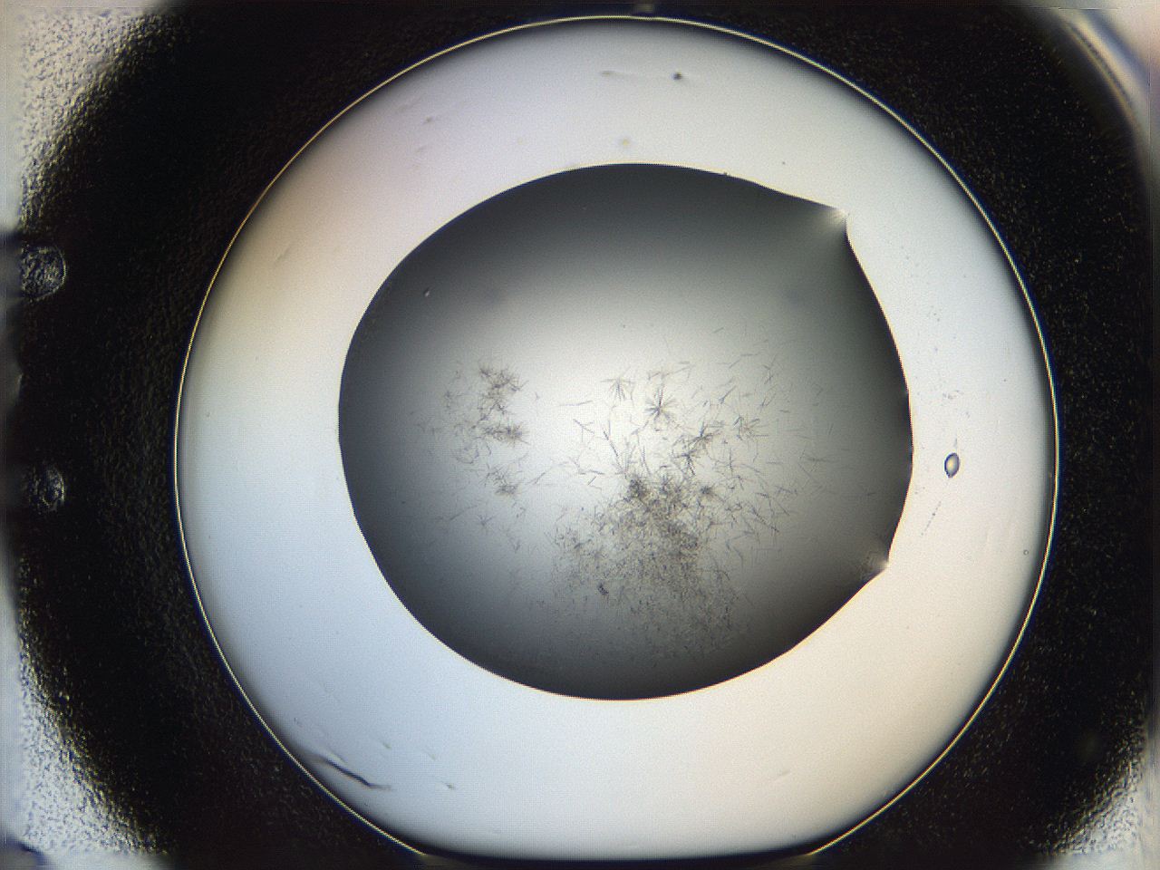 05m1_E8_ImagerDefaults_6.jpg