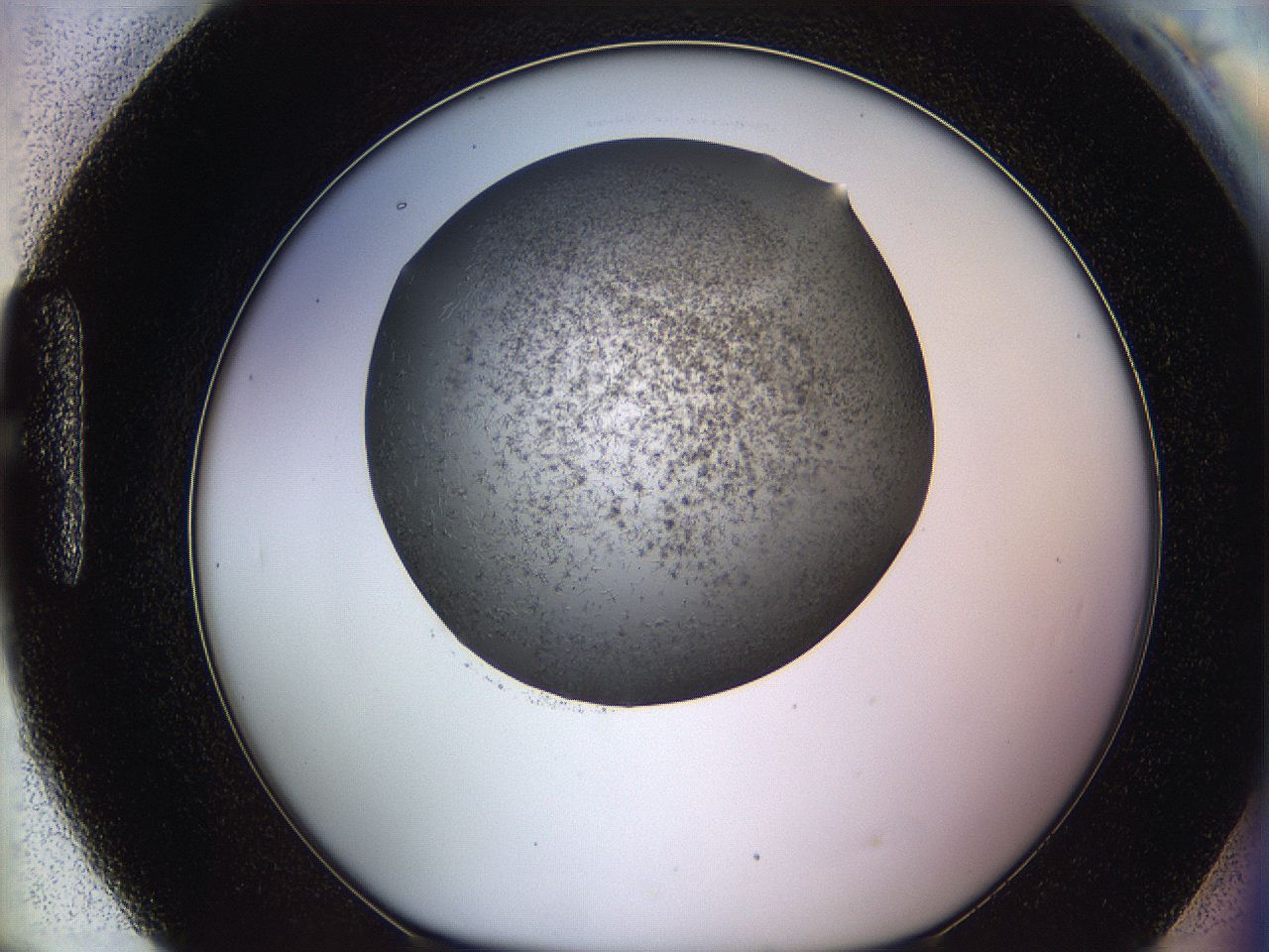 05m1_H9_ImagerDefaults_6.jpg