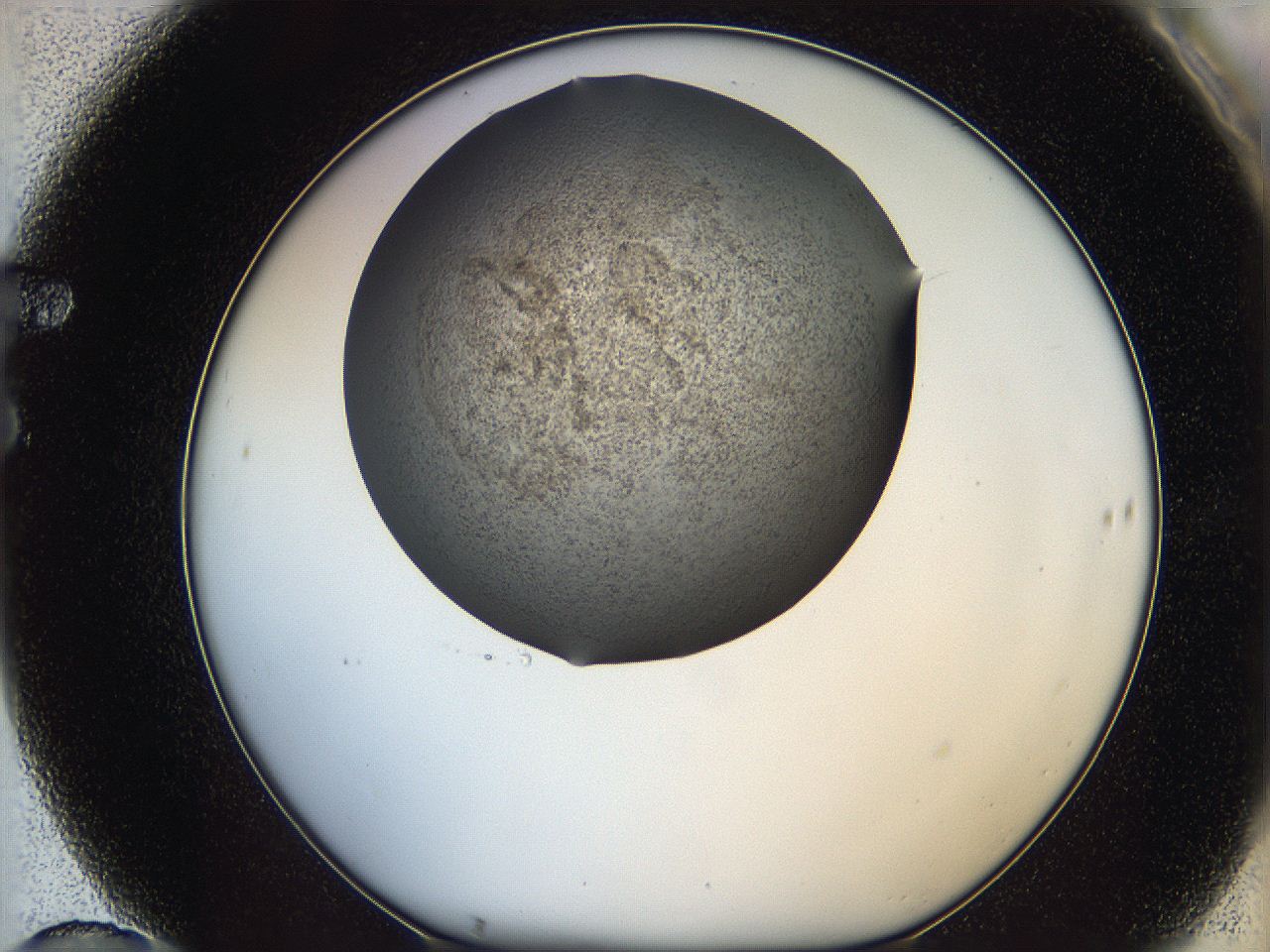 05m1_F10_ImagerDefaults_6.jpg