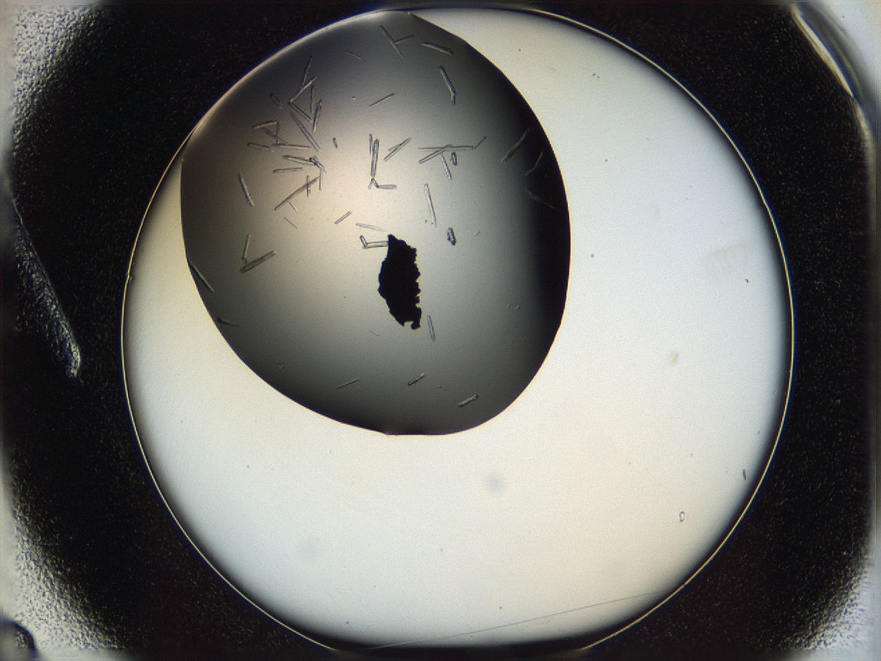 05m2_A3_ImagerDefaults_7.jpg