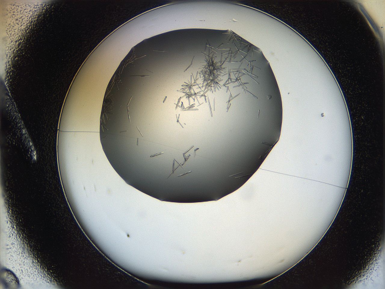 05m2_A8_ImagerDefaults_6.jpg