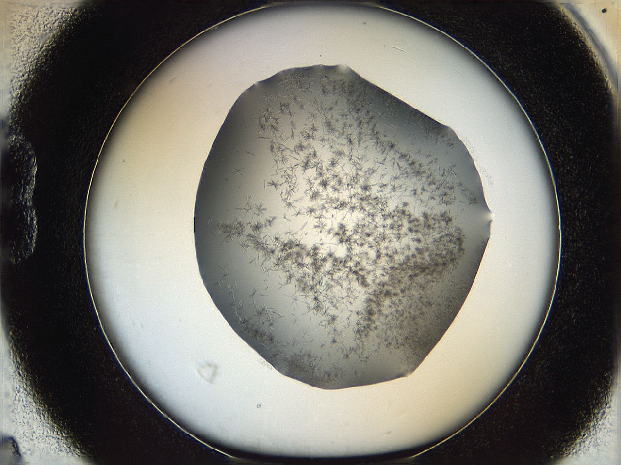 05m2_B4_ImagerDefaults_6.jpg