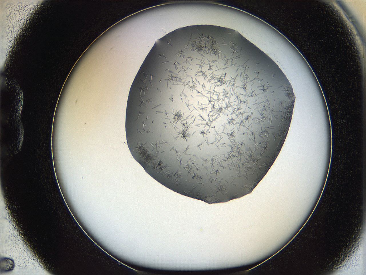 05m2_B5_ImagerDefaults_7.jpg