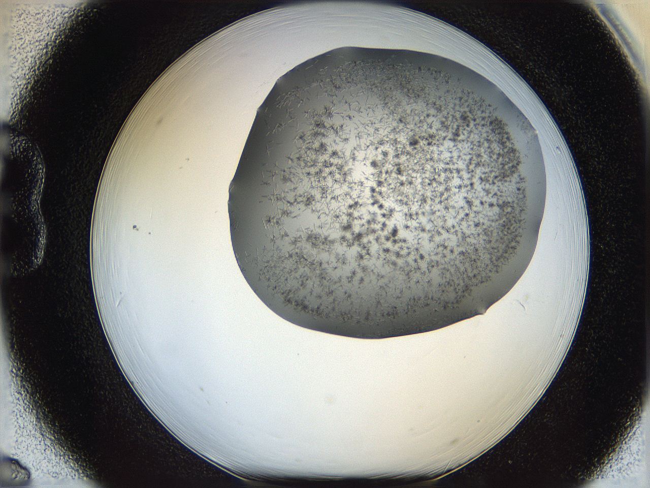 05m2_B6_ImagerDefaults_6.jpg