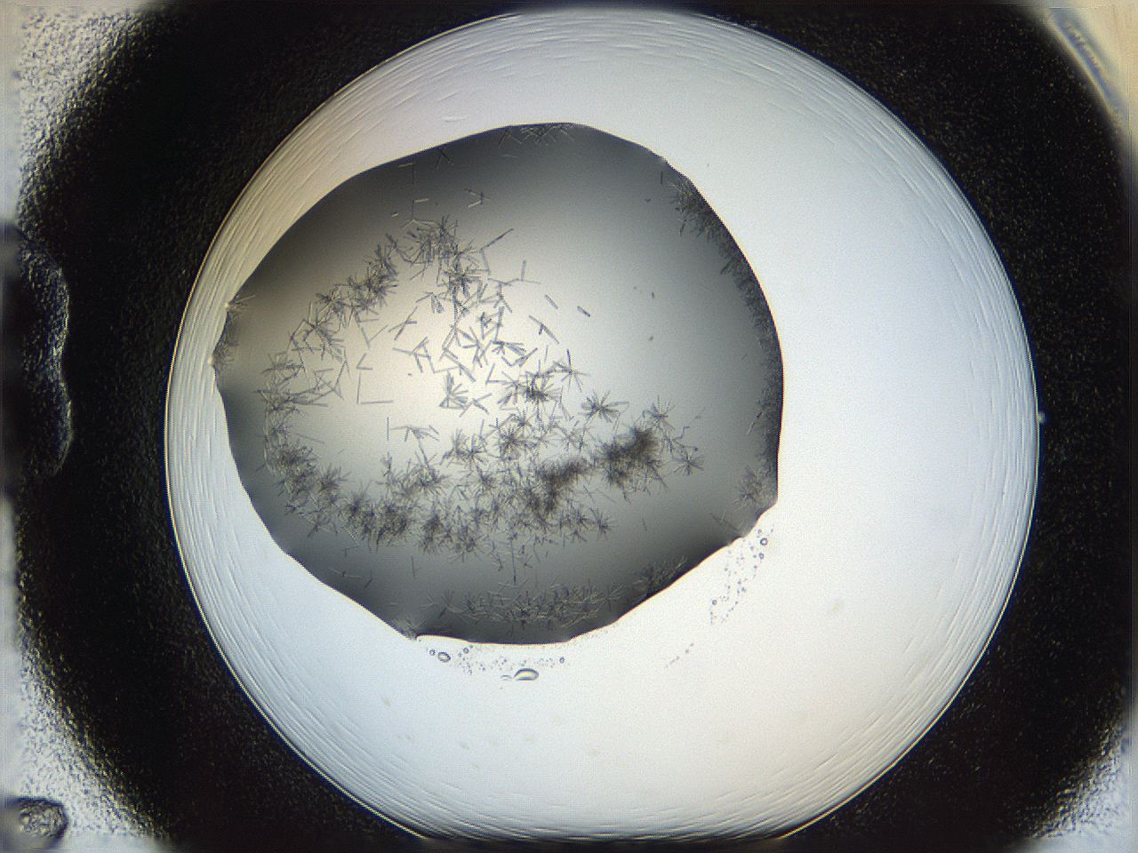 05m2_B7_ImagerDefaults_7.jpg