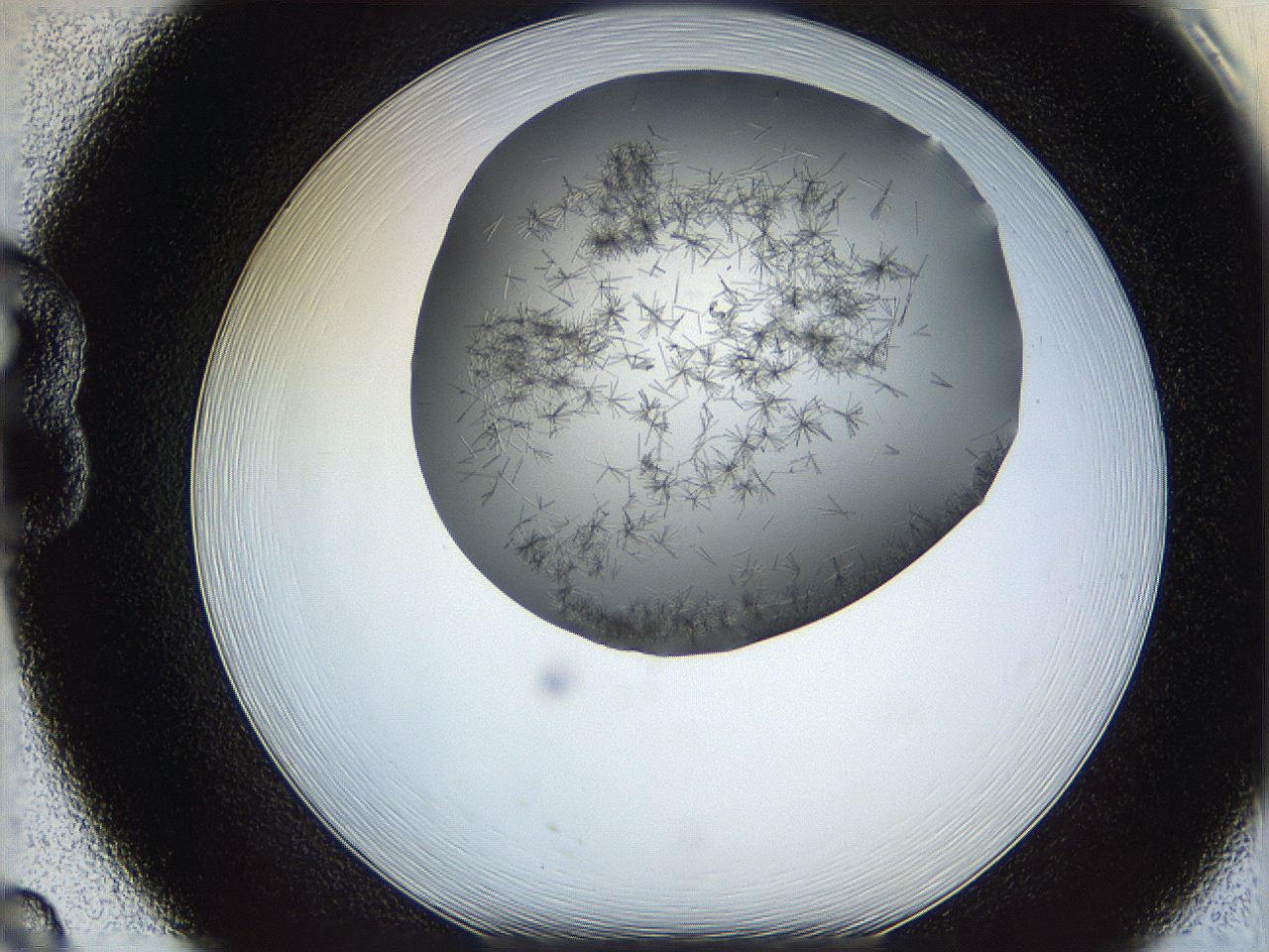 05m2_B8_ImagerDefaults_7.jpg
