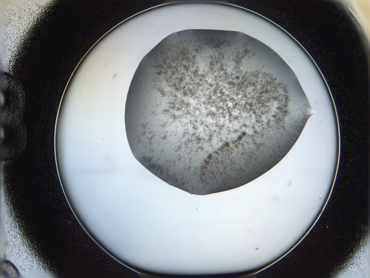 05m2_B9_ImagerDefaults_7.jpg