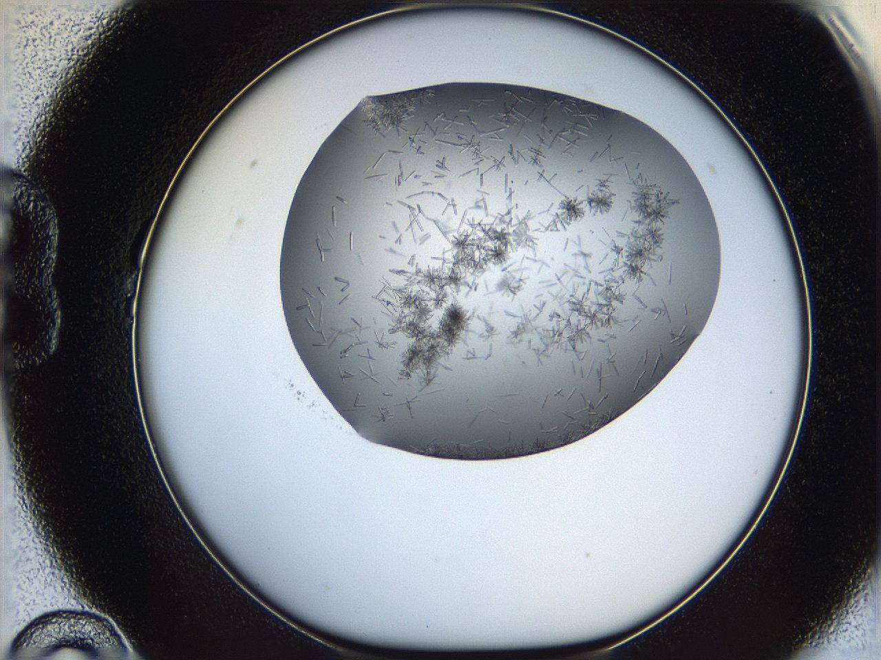 05m2_B10_ImagerDefaults_7.jpg
