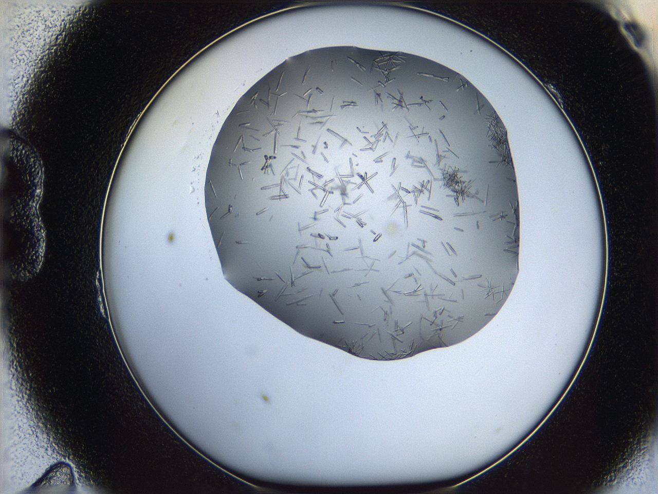 05m2_B11_ImagerDefaults_8.jpg