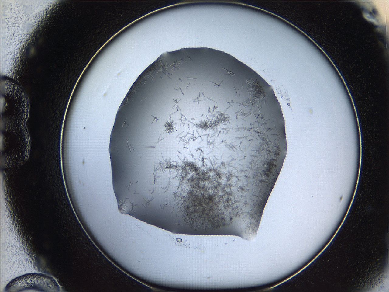05m2_B12_ImagerDefaults_7.jpg